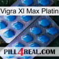 Vigra Xl Max Platinum viagra2